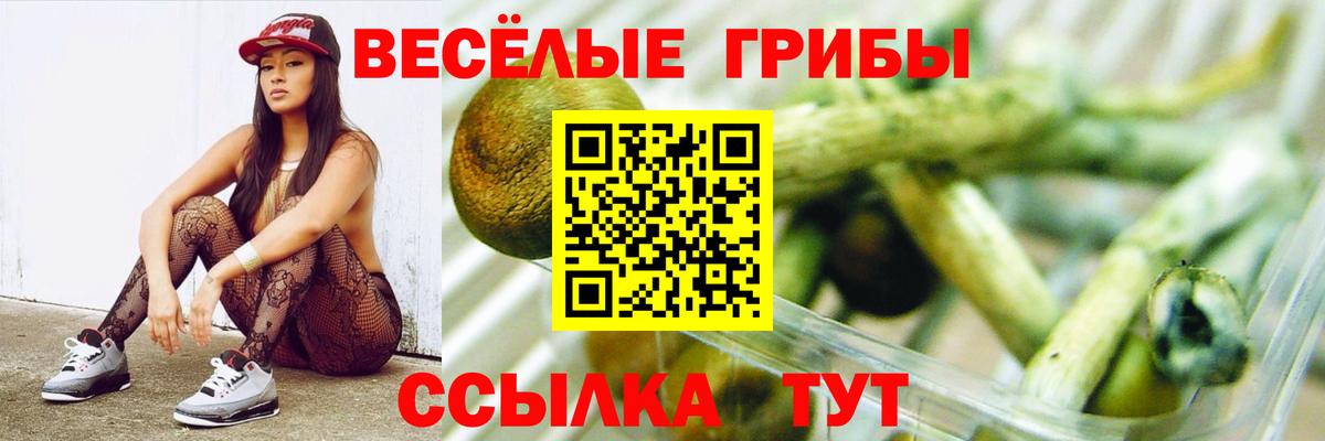 Галлюциногенные грибы Magic Shrooms Ангарск
